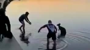 Il salvataggio di un canguro che rischiava di annegare. Video