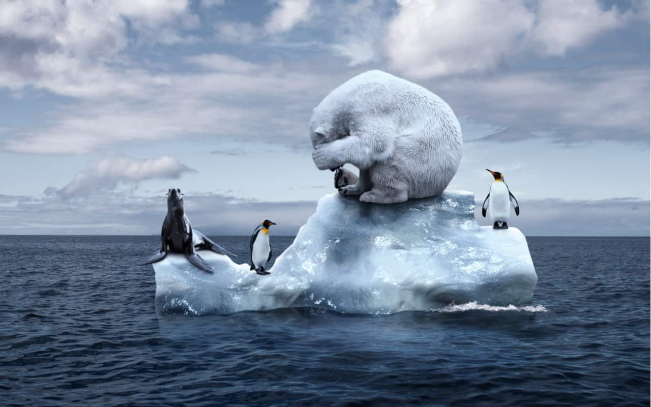 g20 e cambiamento climatico