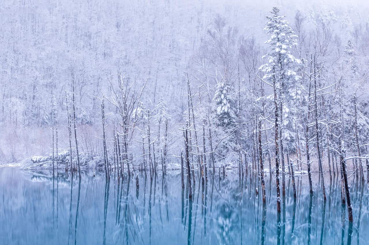 Neve d'autunno molto anticipata