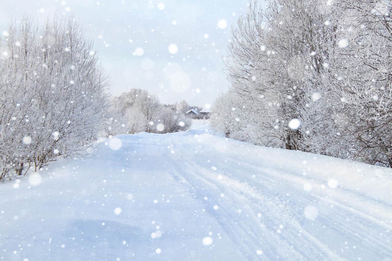 La neve a bassa quota