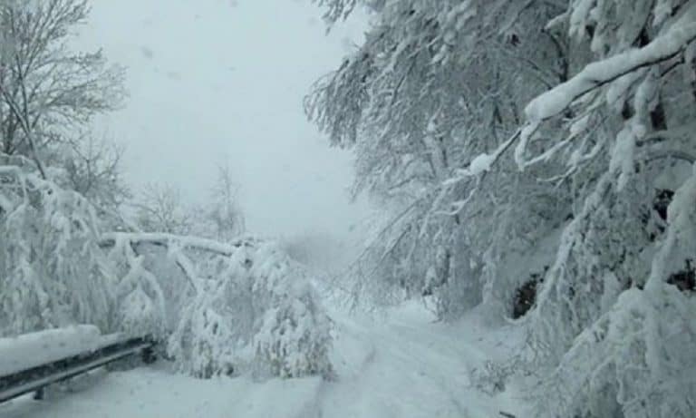bufera di neve alaska 768x461 1
