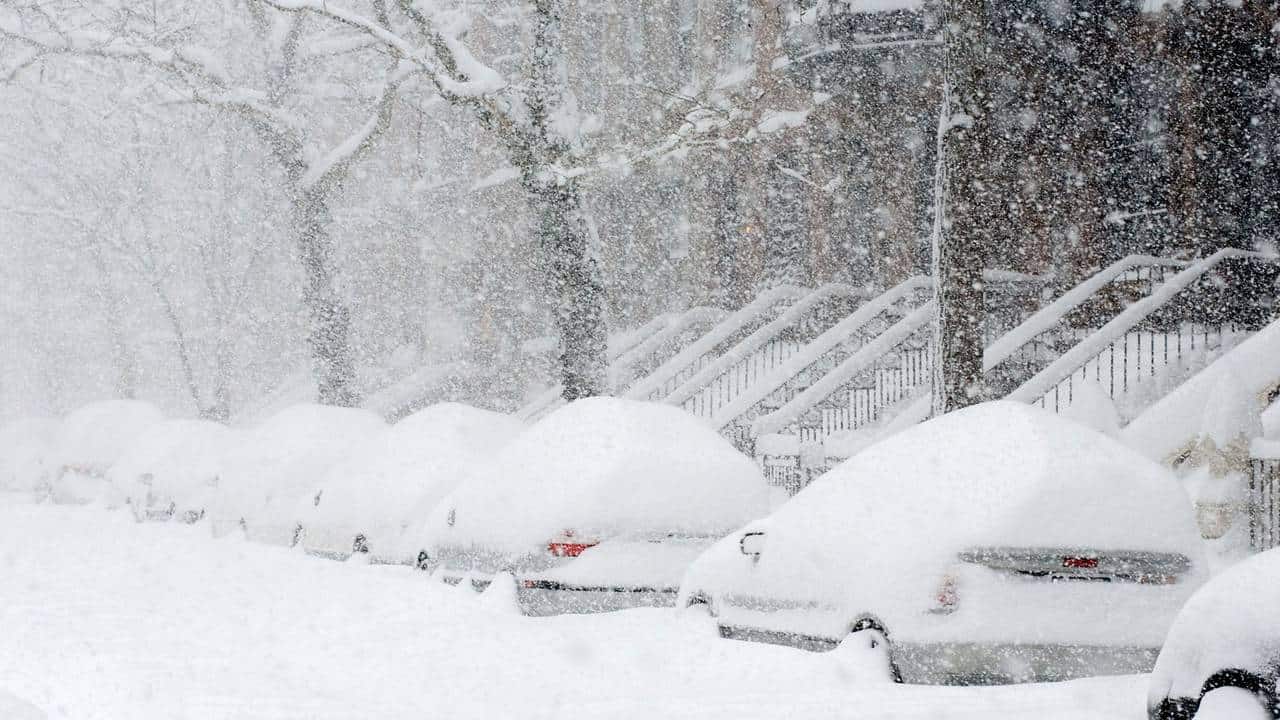 cars winter blizzard