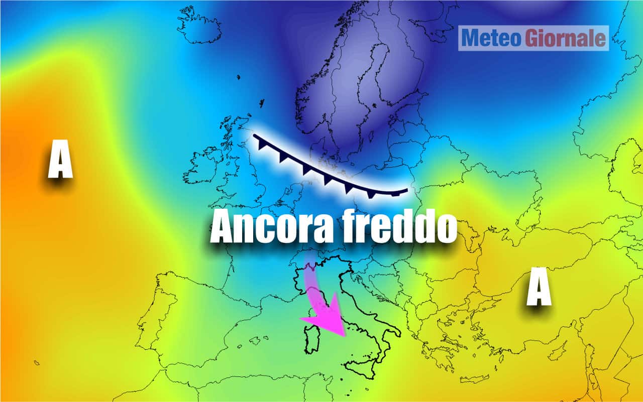 freddo