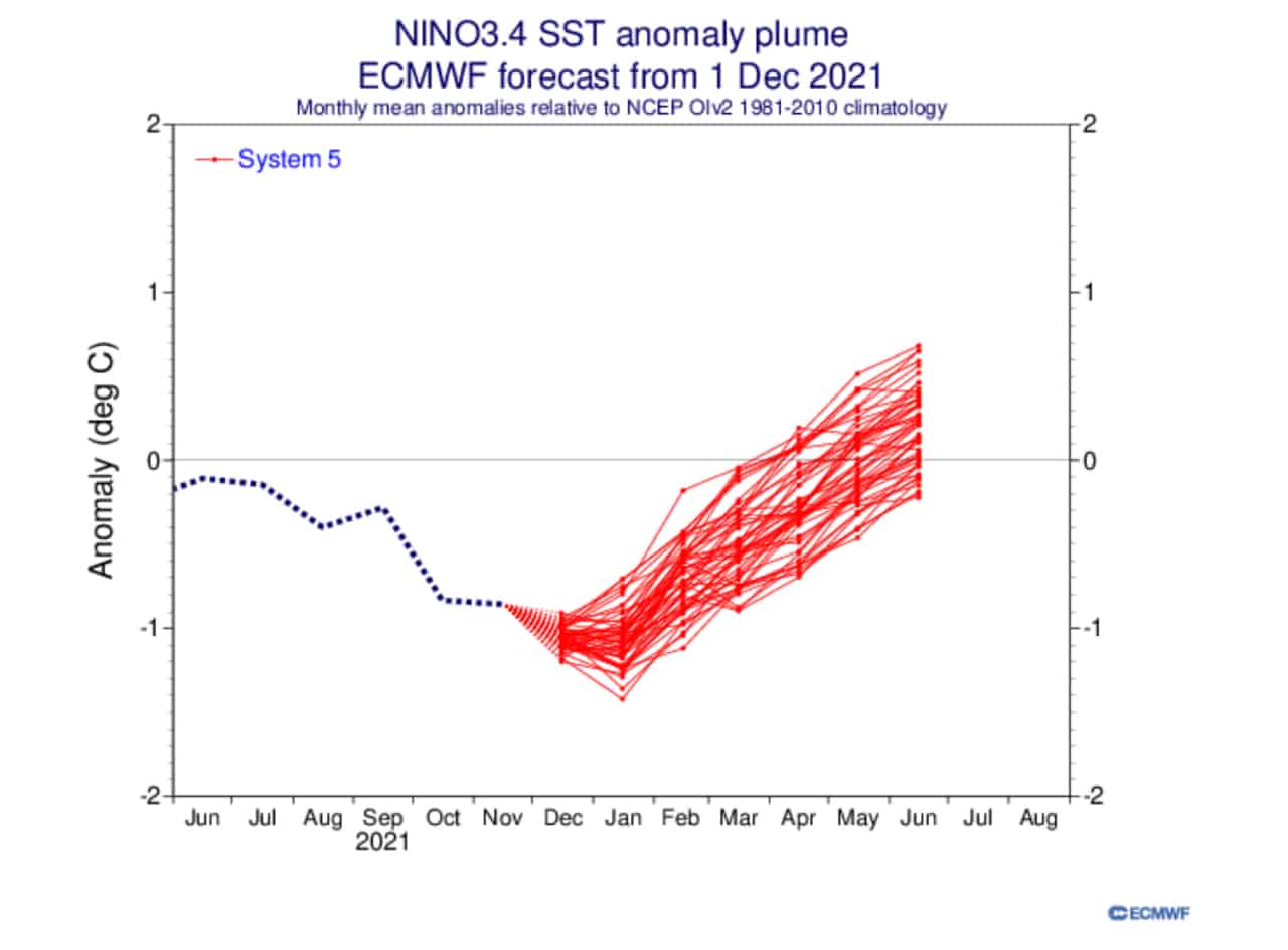Anomalie temperature oceaniche dal modello ECMWF