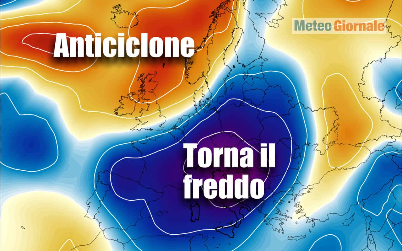 freddo 1