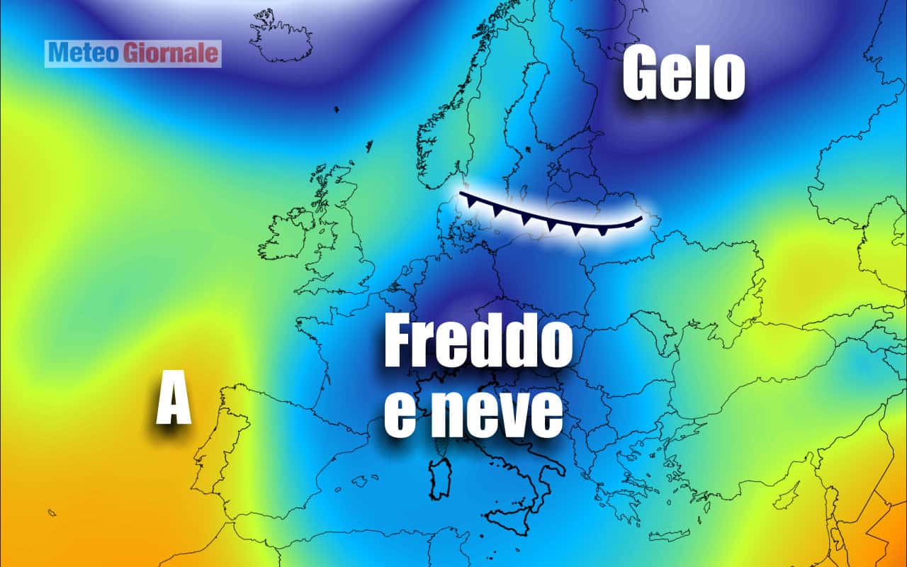 freddo artico 1