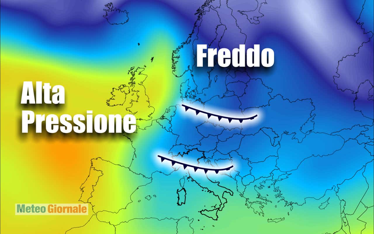freddo artico