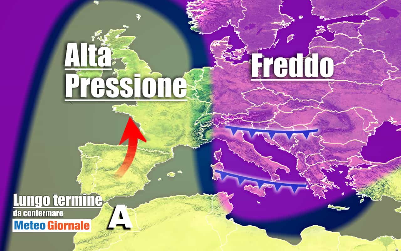 freddo