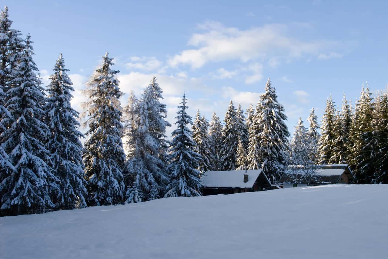 meteo 09591