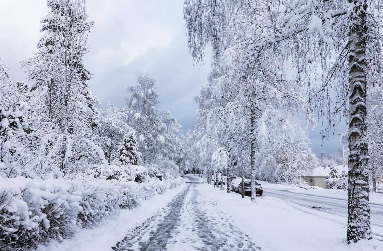 Paesaggio innevato