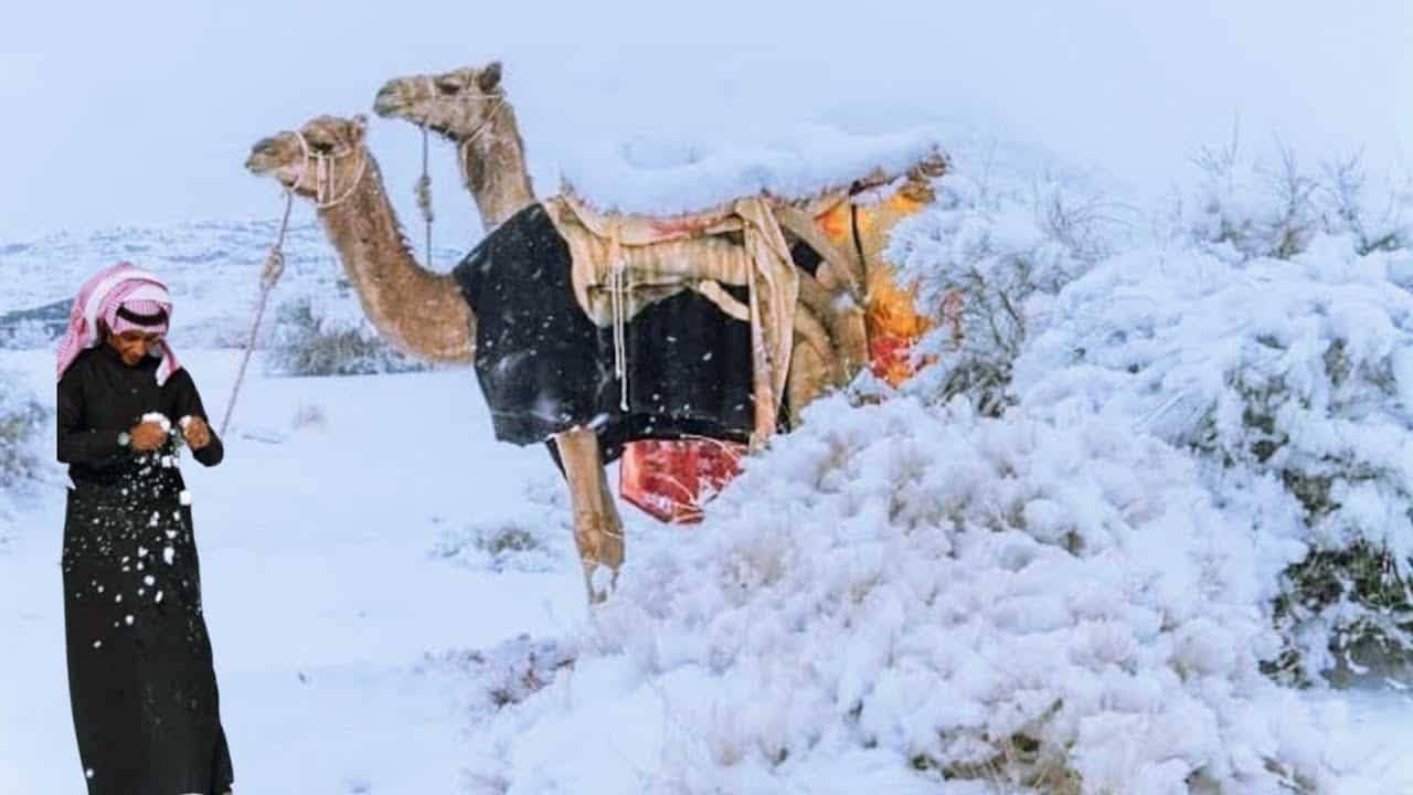 La neve ha ammantato i monti della provincia di Tabuk
