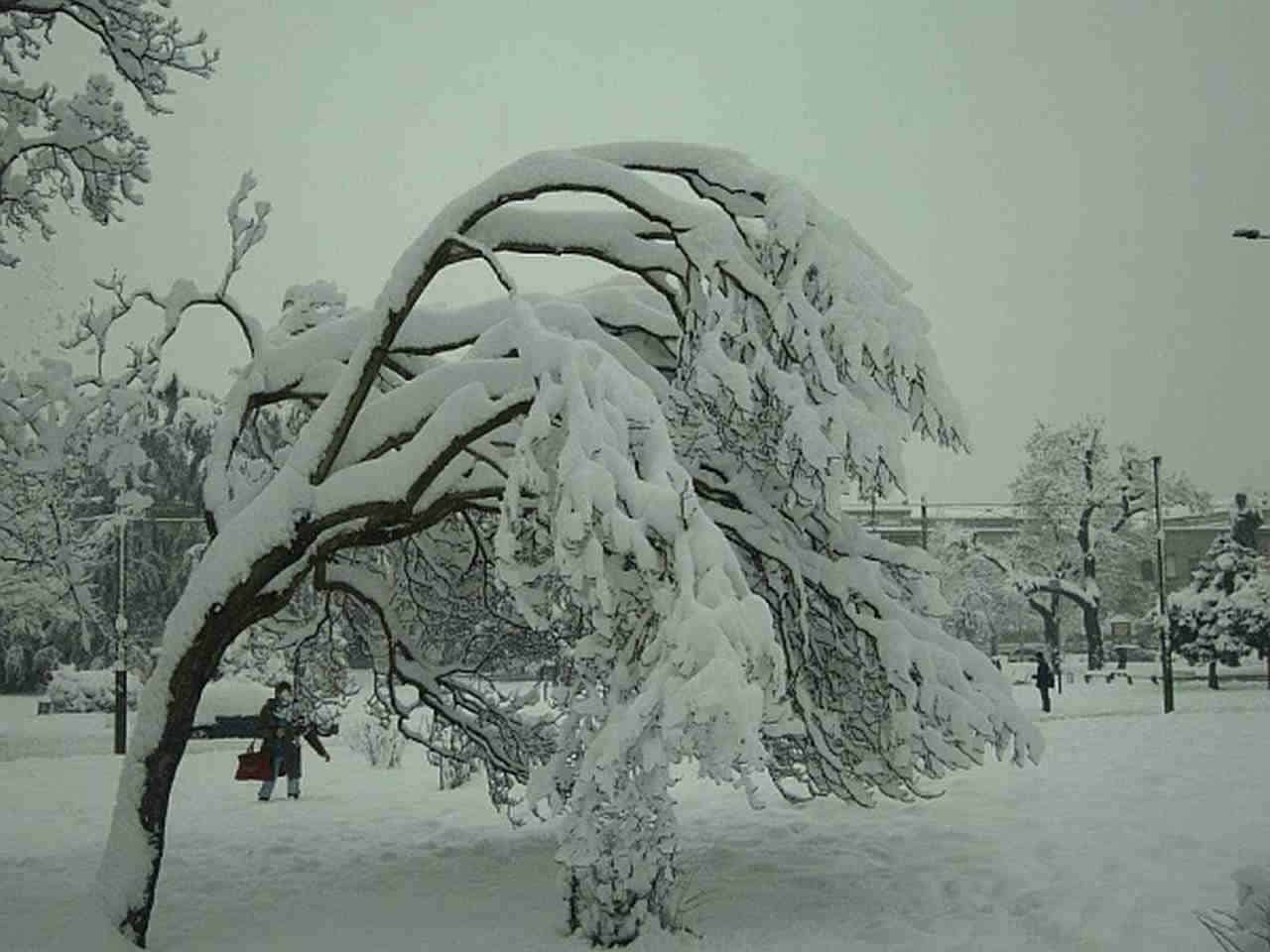 Una delle nevicate più abbondanti sulle pianure lombarde
