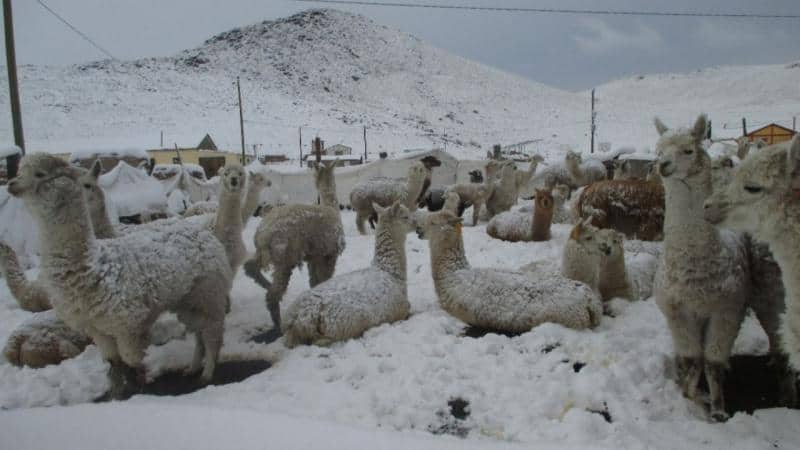 Neve quasi all’Equatore, aree tropicali in piena Estate