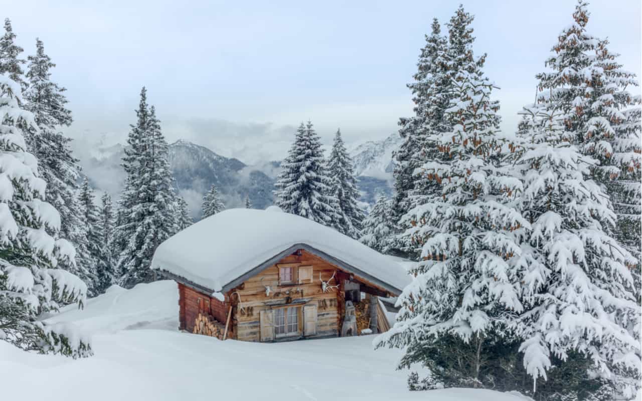 Torna la stagione della neve.