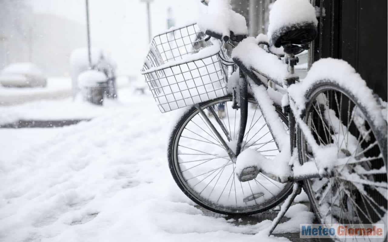 neve new york1