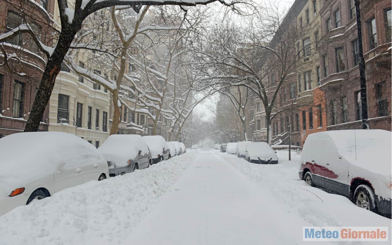 neve new york2