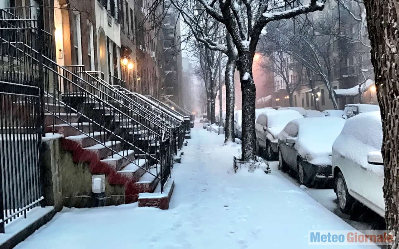neve new york3