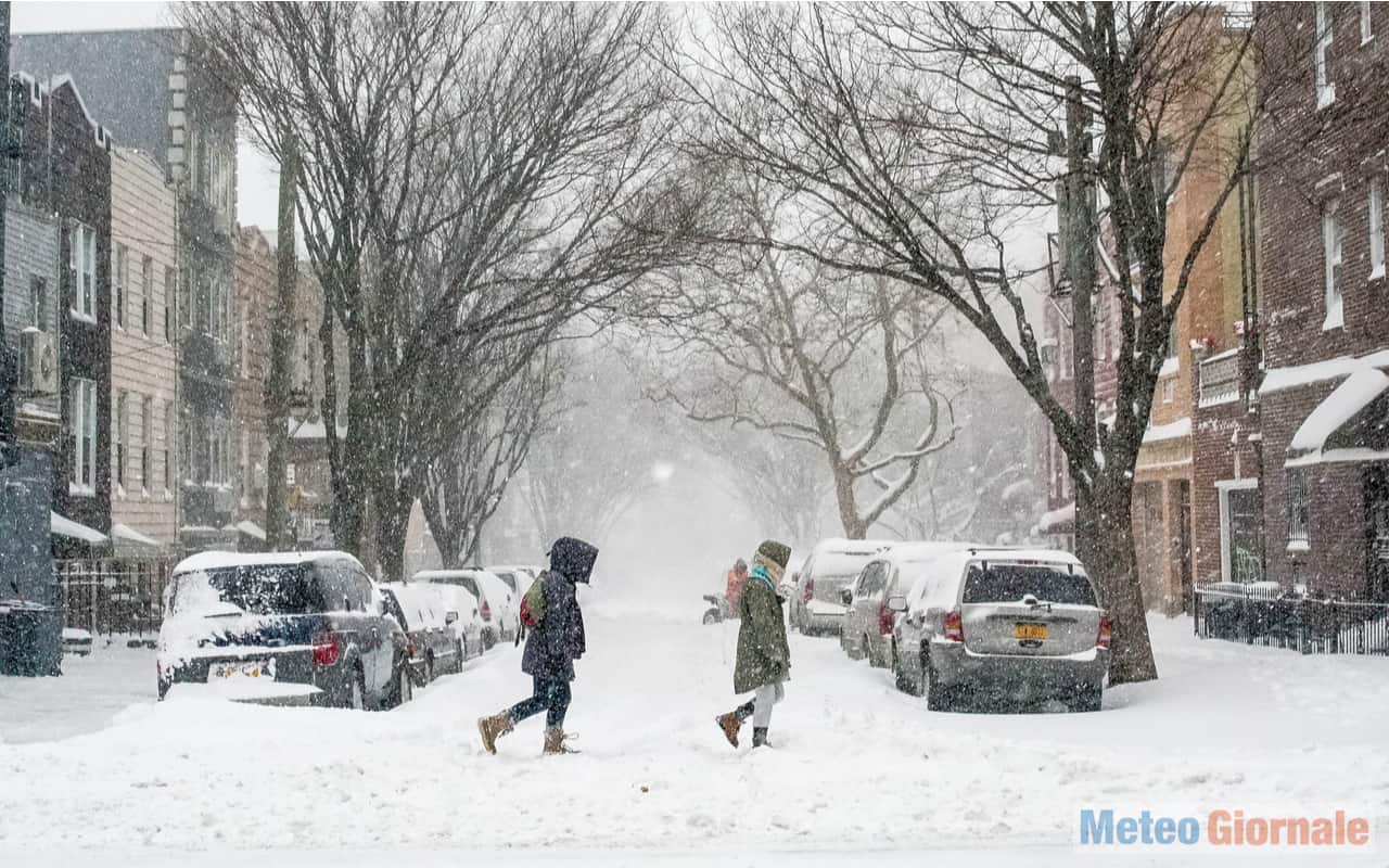neve new york4