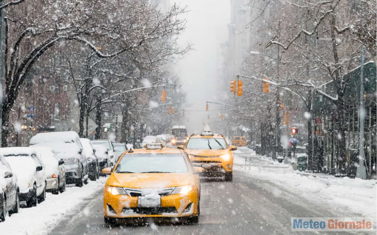 neve new york6
