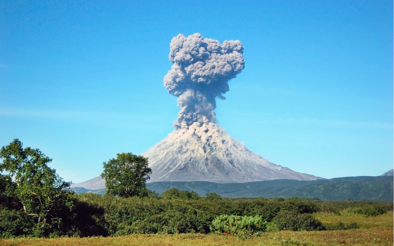 Siamo nel periodo più mortale nella storia della Terra