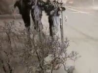 Tempeste di neve persino in Giordania. Video meteo da Amman
