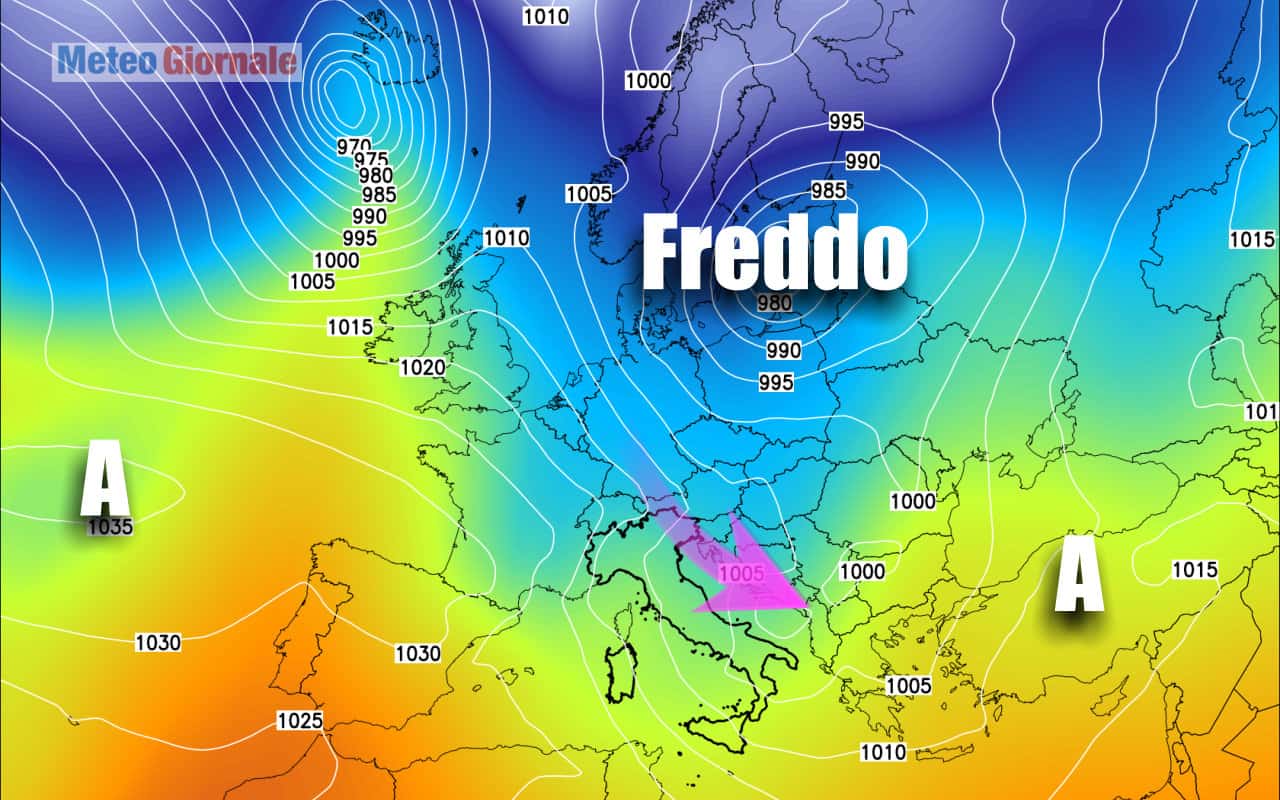 freddo