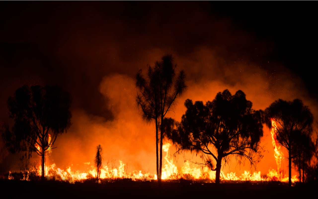 incendio bosco