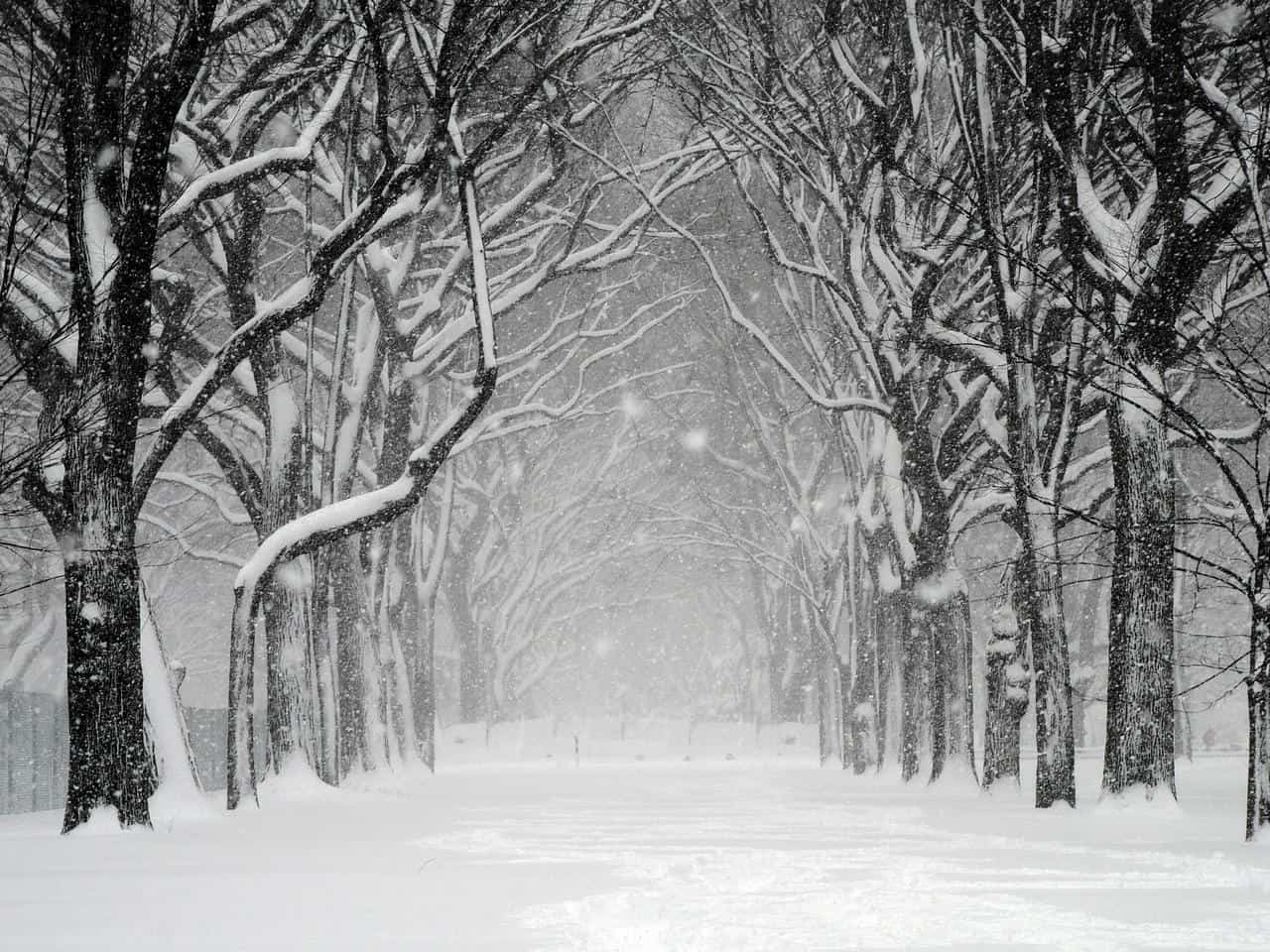 Paesaggio nella morsa di gelo e neve