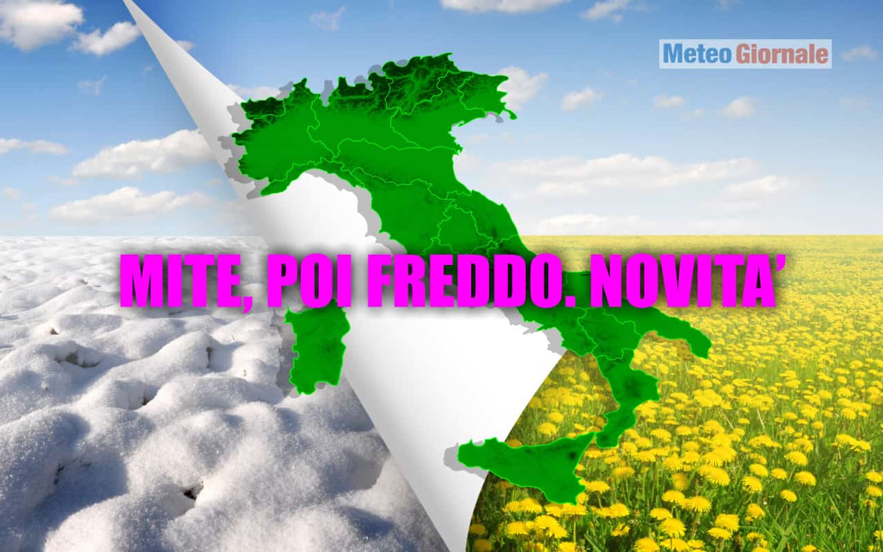 mite freddo