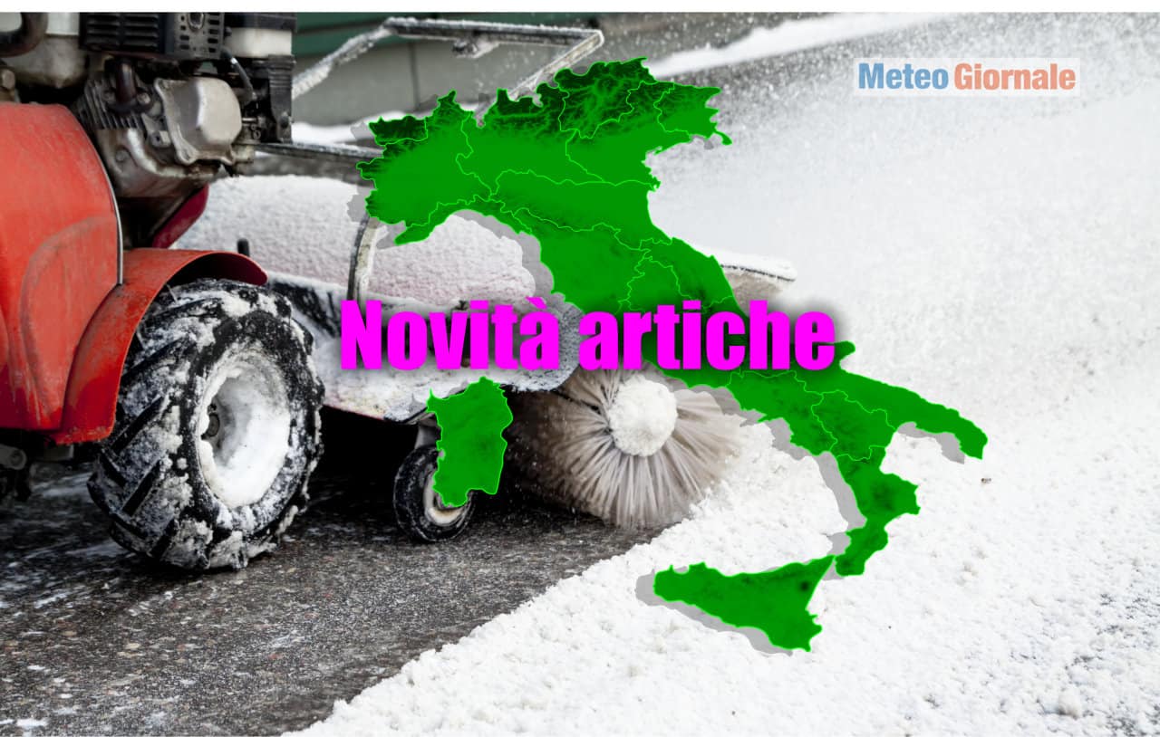 novita artiche