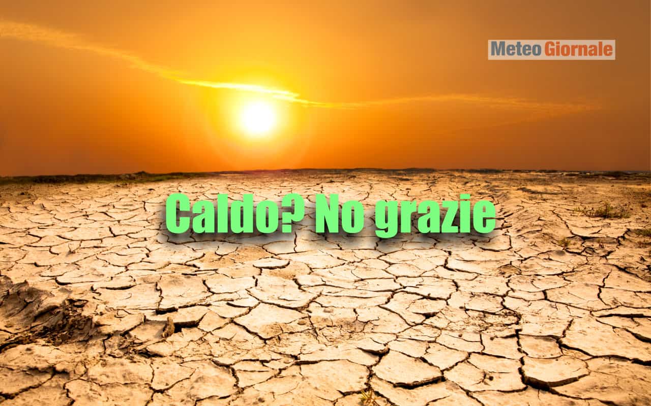 caldo