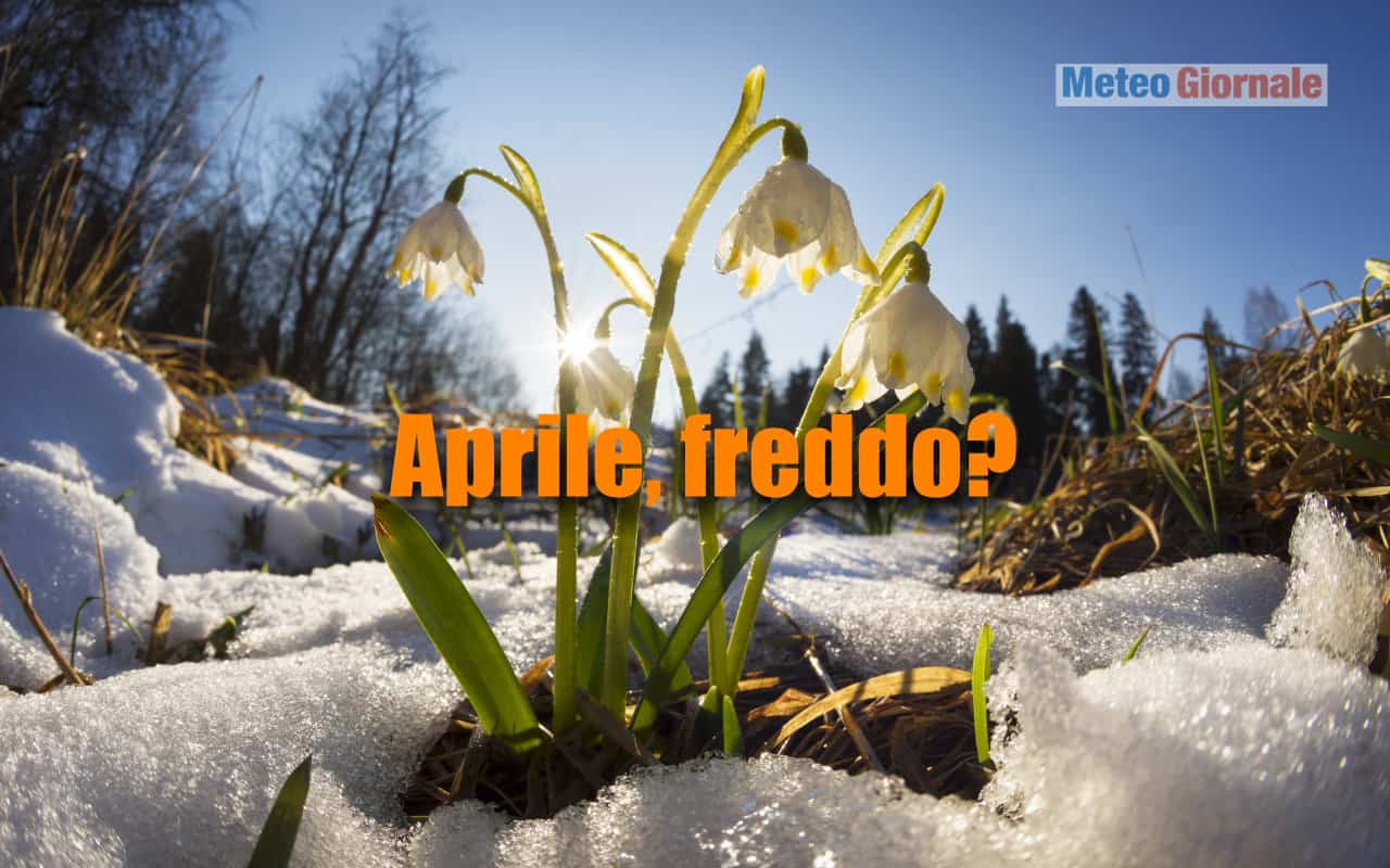 freddo aprile 1