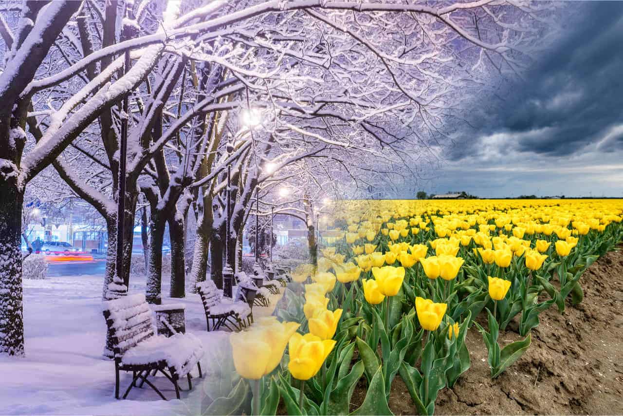 Marzo dal sapore invernale
