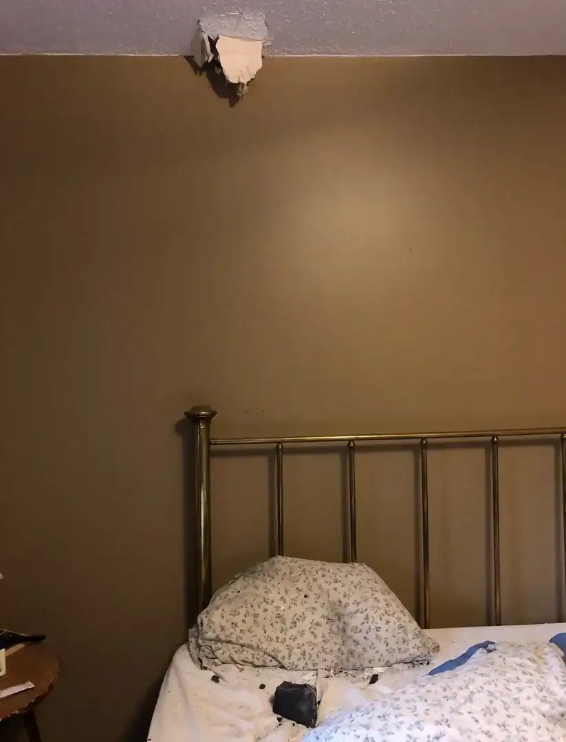 Residuo di un meteorite. Pietra di 1 kg si è schiantato contro il tetto della sua casa in Canada, sfiorando una donna mentre dormiva.