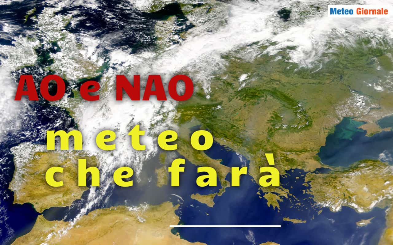 Design senza titolo 3 1