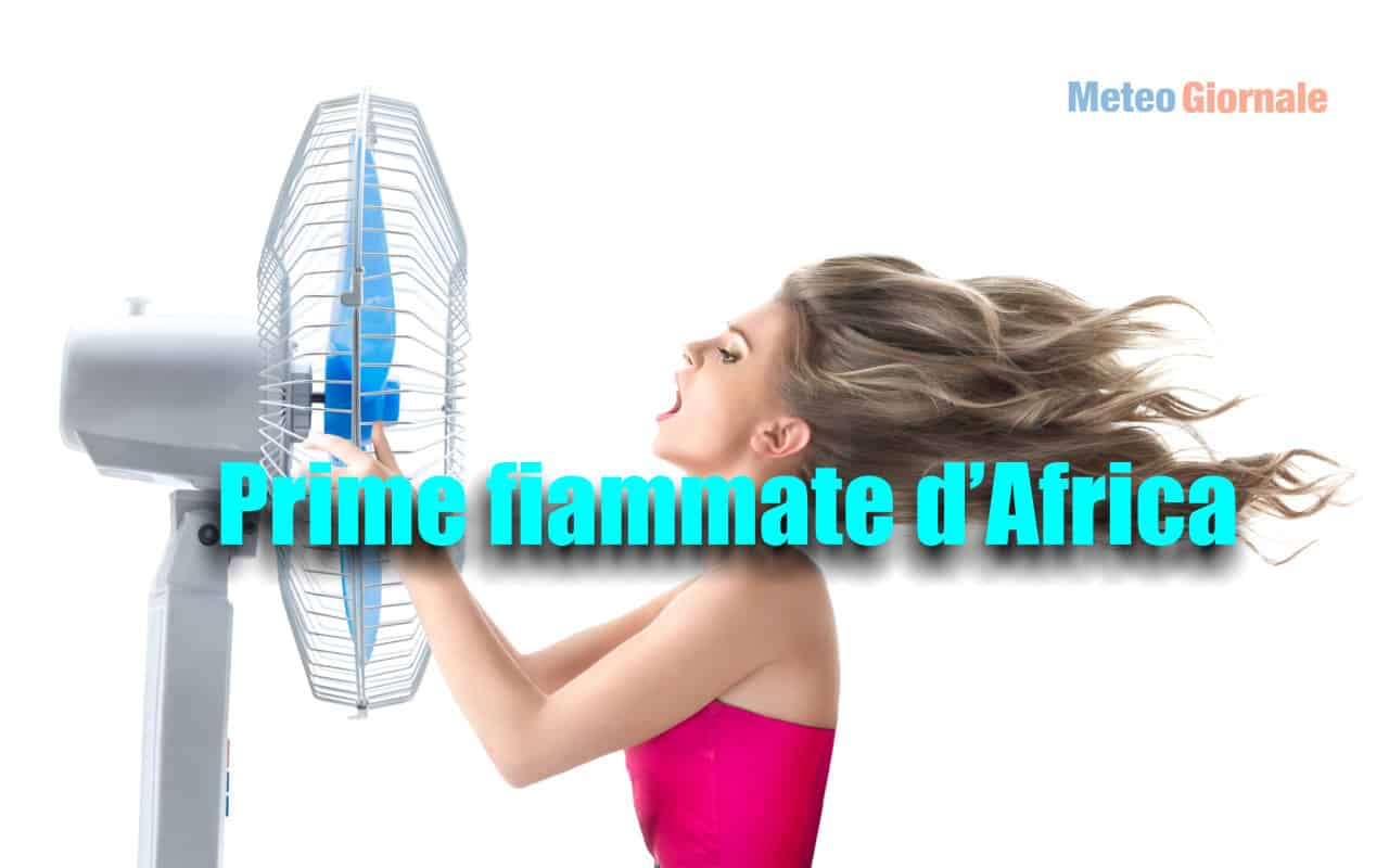 caldo africano 1
