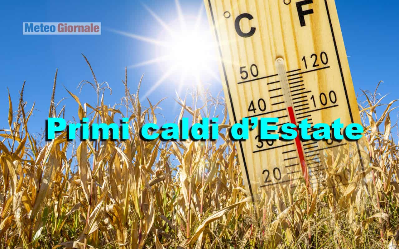 caldo