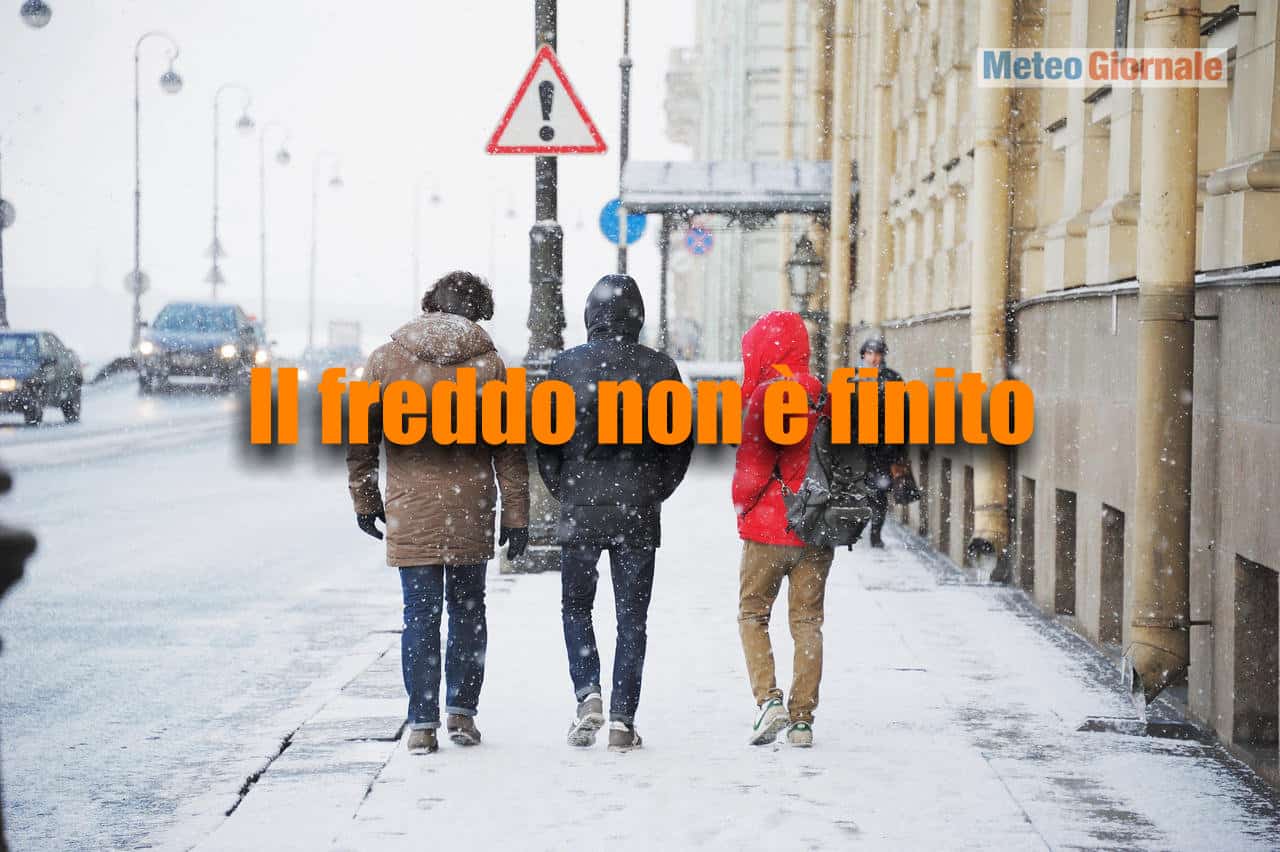 freddo 1