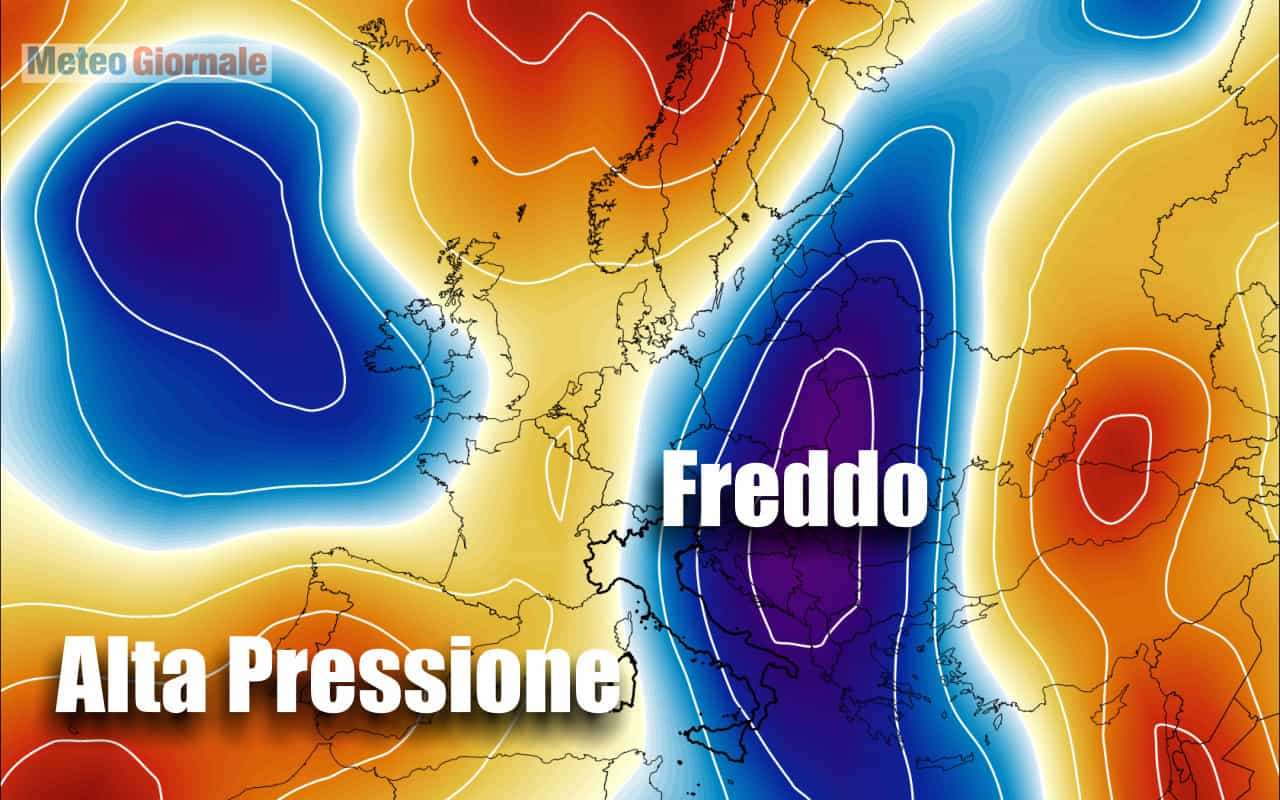 freddo 3