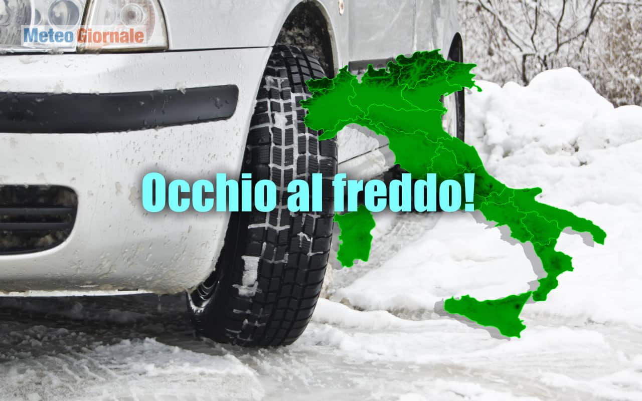freddo