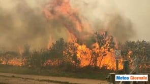 La sempre verde Inghilterra afflitta dagli incendi. Video meteo, è cambiamento climatico