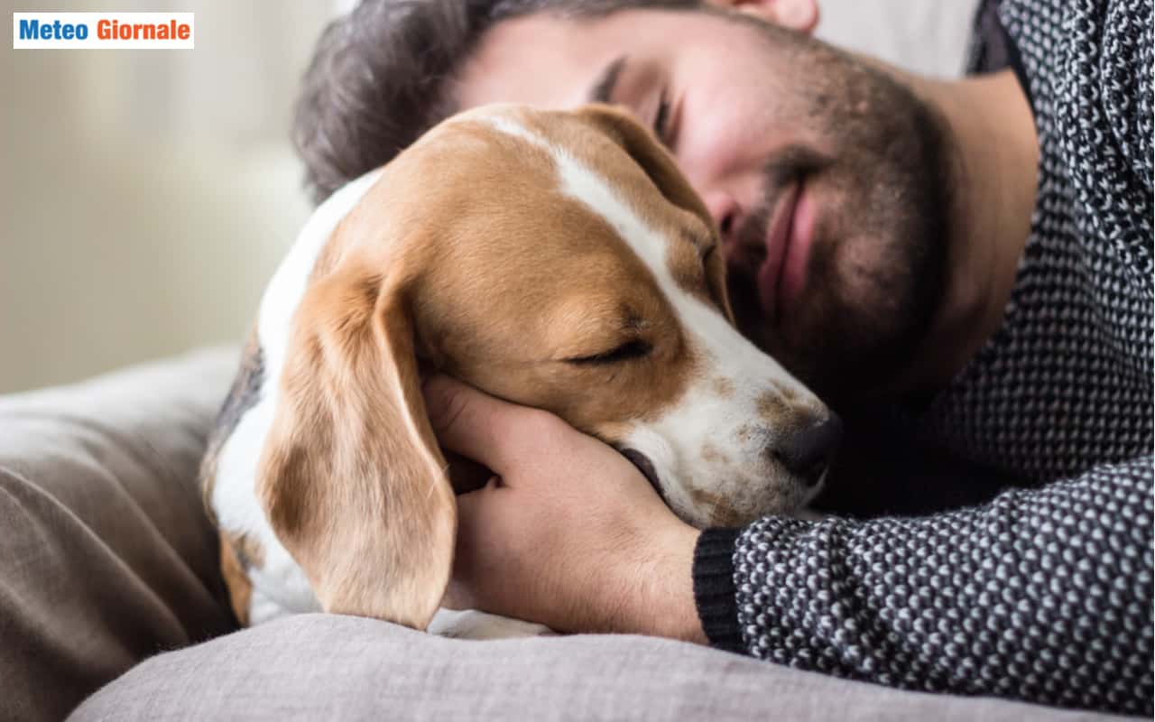 Come migliorare l’alimentazione del proprio cane, e la salute