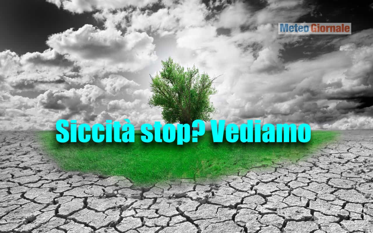 siccita