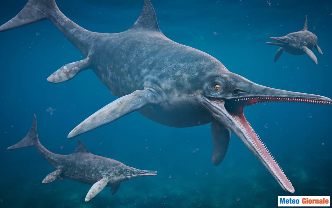 Ittiosauro stenopterygius , grandi rettili marini estinti dal Triassico inferiore al Cretaceo superiore, rendering scientifico 3d