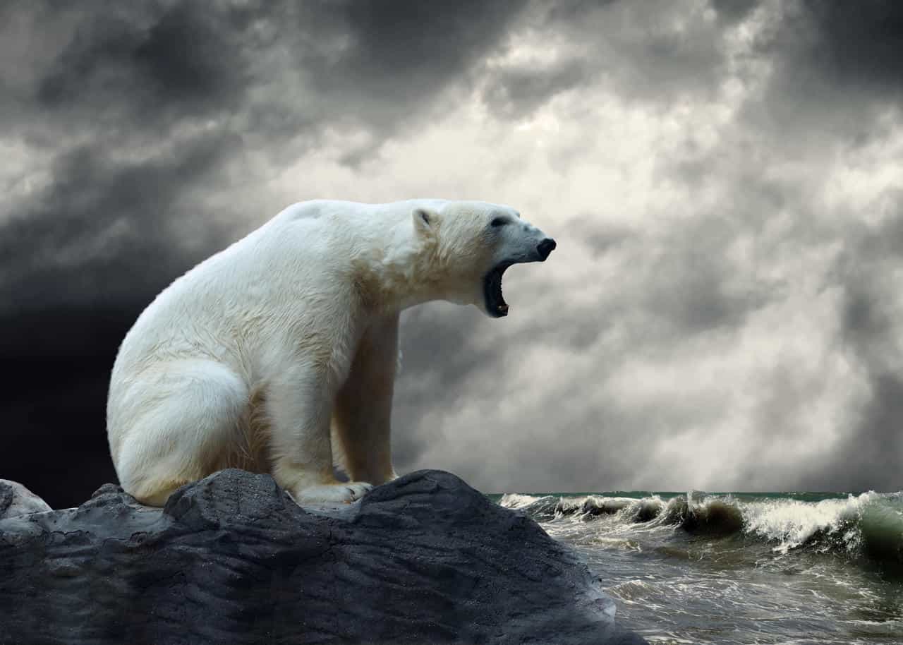 Clima Artico: il riscaldamento corre veloce, a ritmi impressionanti