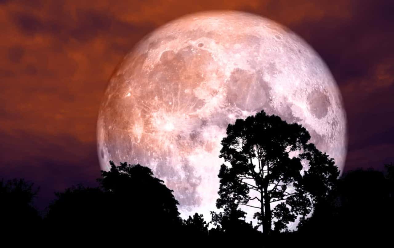 In arrivo la Luna gigante: torna la Super Luna, ecco a che ora vederla