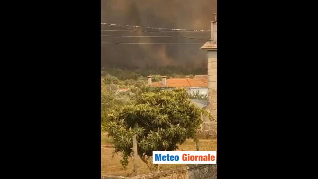 Grosso incendio Portogallo. Devastato un Parco Nazionale. Video