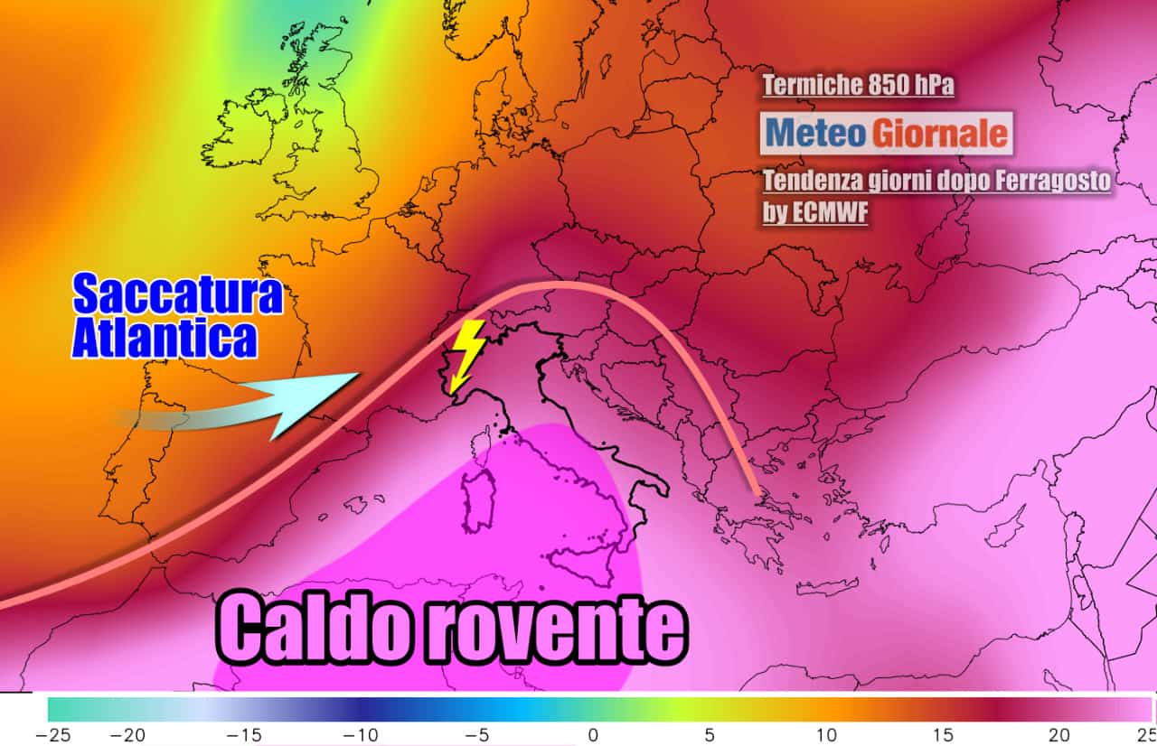 Grande fiammata africana in vista