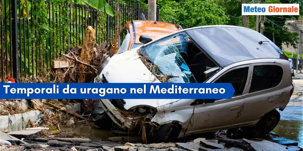 dereho mediterraneo 7555