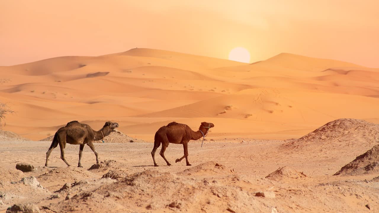 Meteo, Weekend, Halloween sotto un cupola insalubre. Caldo e siccità estremi dal Sahara